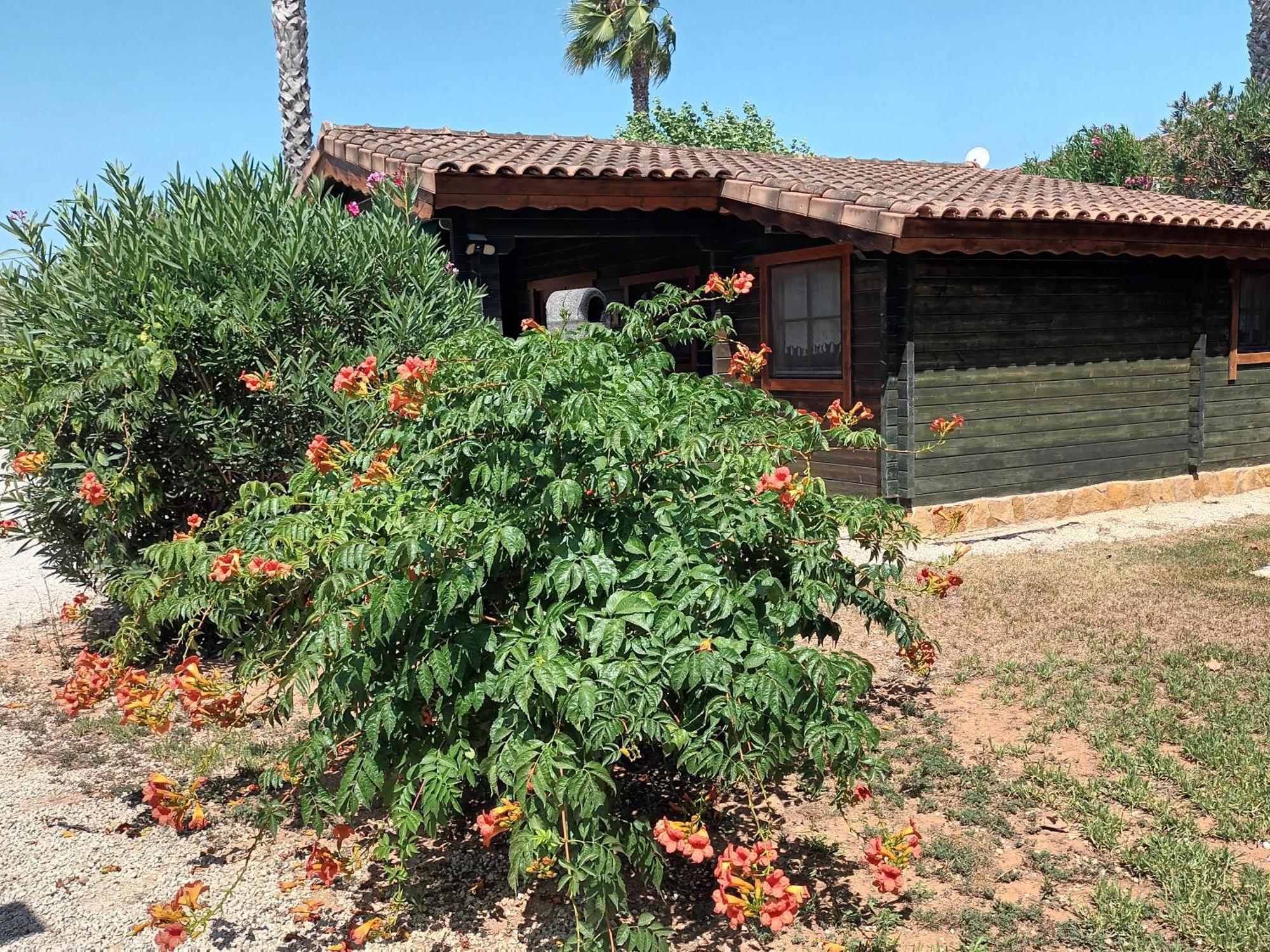 Villa Entre Viejos Olivos Benicolet Exterior foto