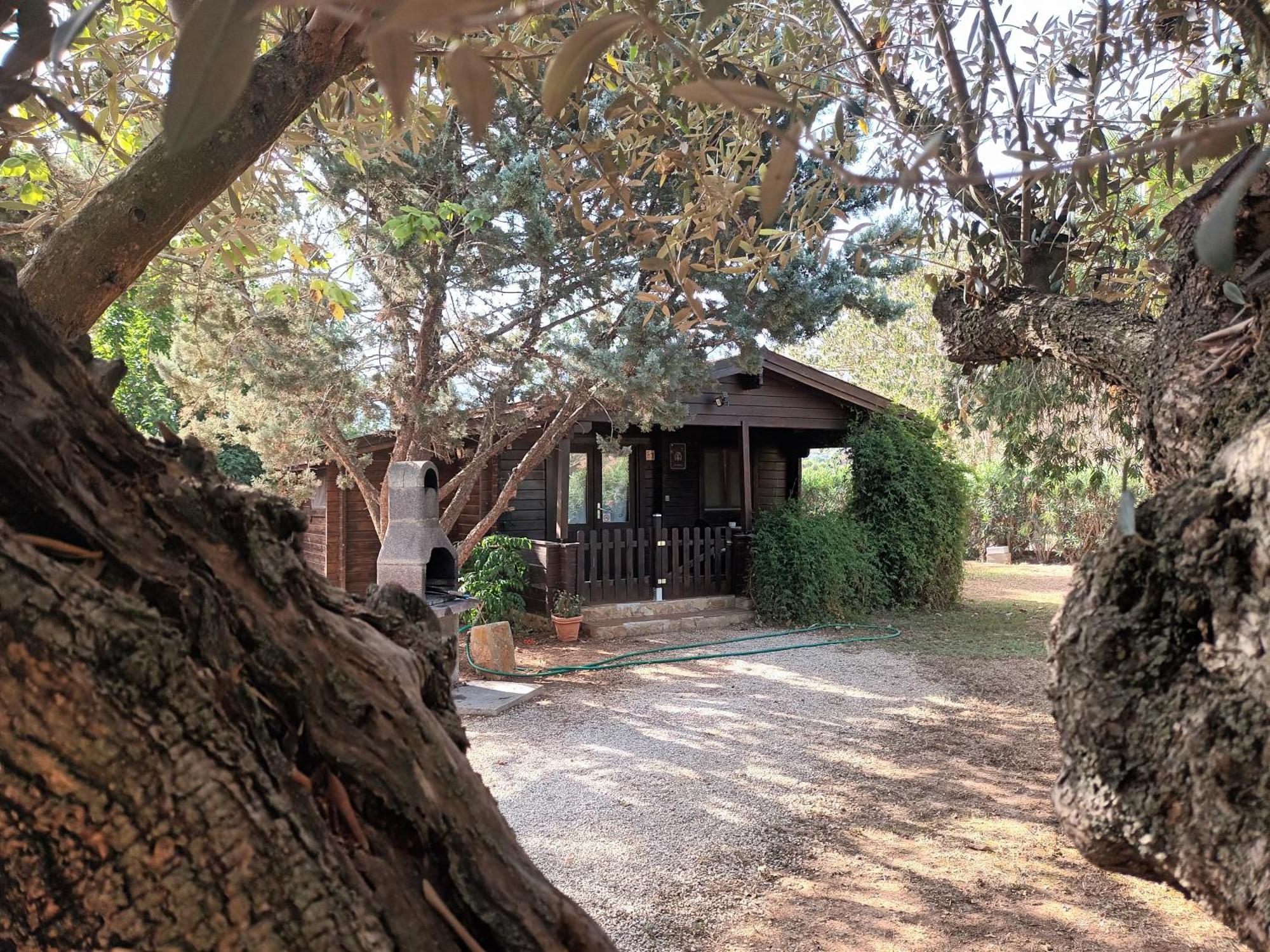 Villa Entre Viejos Olivos Benicolet Exterior foto